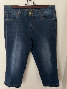 Dark Wash Cropped Stretch Jeans